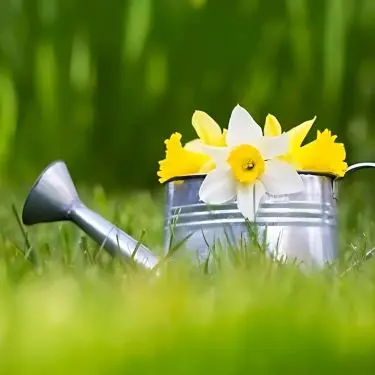 6 gode haveopgaver i påsken 